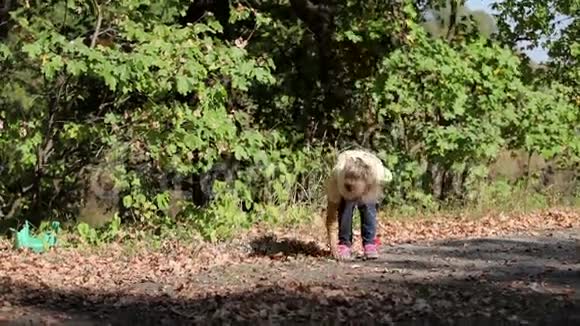 小女孩在森林里收集橡子视频的预览图