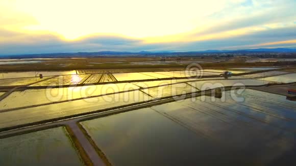 巴伦西亚稻田的鸟瞰日落视频的预览图