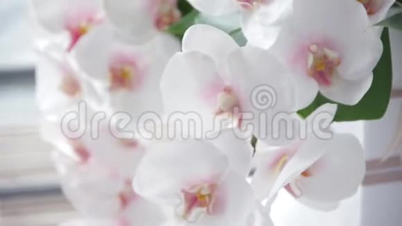 户外婚礼仪式上的嫩白兰花视频的预览图