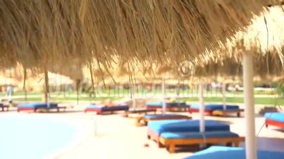 游泳池附近的放松区视频的预览图