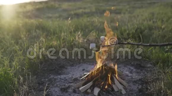 日落时分在海滩上的篝火上烤棉花糖视频的预览图