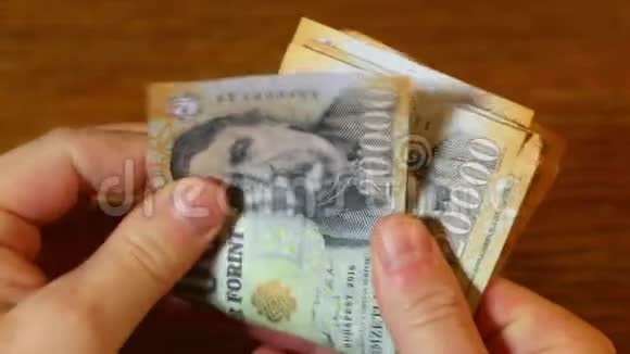 数钱匈牙利福林视频的预览图