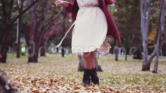 女人在秋天的公园里扔树叶在慢动作中玩得很开心3840x21604k视频的预览图