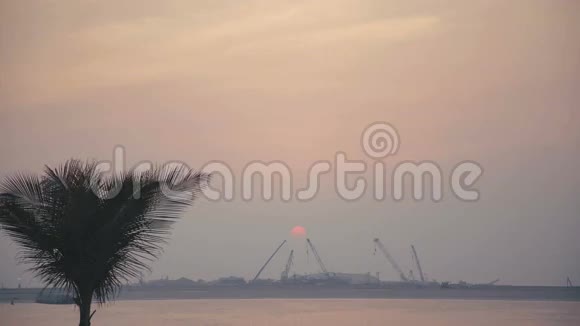 棕榈树夕阳大海和塔式起重机视频的预览图