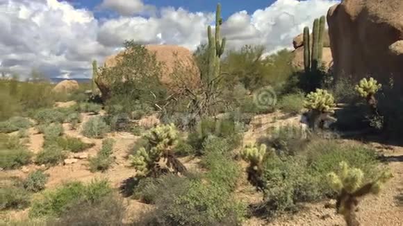 沙漠移动景观时间推移亚利桑那州视频的预览图