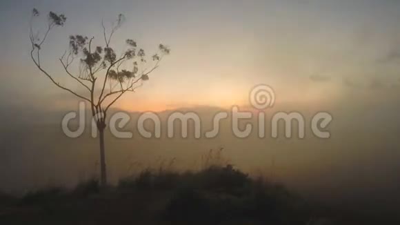 神奇的太阳在斯里兰卡埃拉峰升起的时间视频的预览图