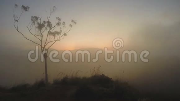 神奇的太阳升起薄雾通过山和树的轮廓在埃拉峰斯里兰卡视频的预览图