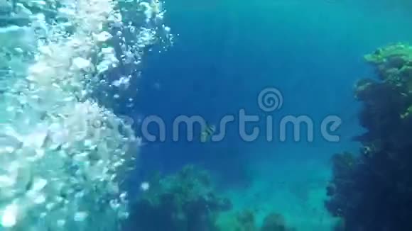 气泡在海水下流动视频的预览图