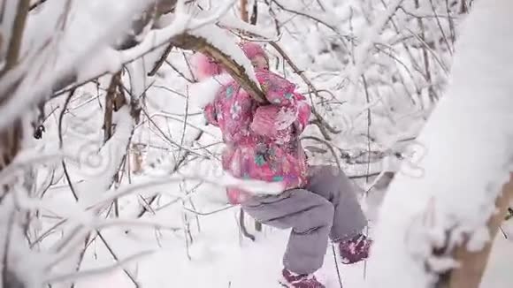 小女孩在树枝上摇摆白雪覆盖视频的预览图