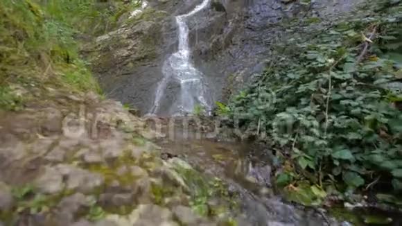 小瀑布有很多植被视频的预览图
