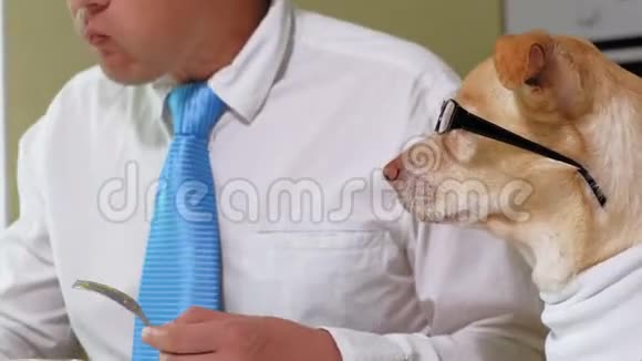 那个和狗在桌子旁的人正在吃饭人与宠物的友谊商人概念视频的预览图