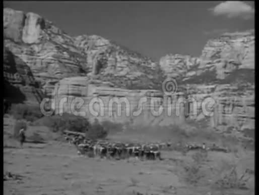 在沙漠峡谷里放牛的牛仔的长镜头视频的预览图
