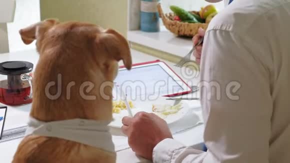 那个和狗在桌子旁的人正在吃饭人与宠物的友谊商人概念视频的预览图