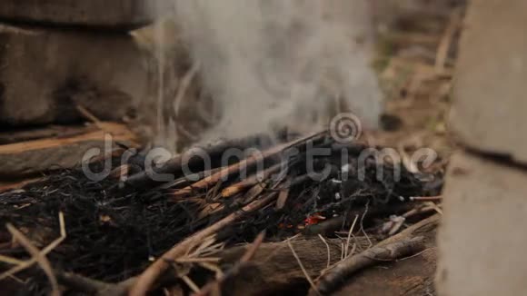 木灰烬的火焰用烧干的干草视频的预览图