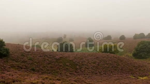 时间流逝的晨雾在拉登的波斯班克视频的预览图
