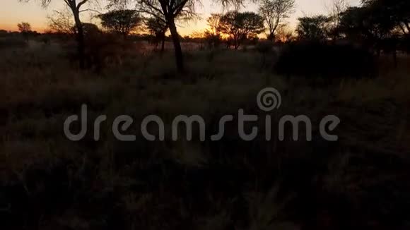 在纳米比亚的大草原上拍摄日落视频的预览图