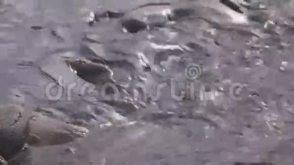 快宽的山河把清澈的水倒在石头上视频的预览图