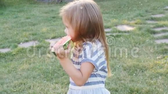 夏天可爱的小女孩在草地上吃西瓜视频的预览图