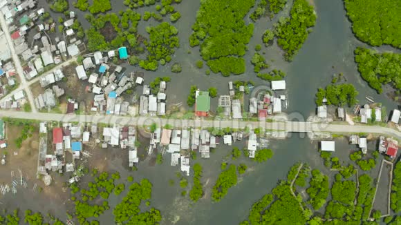 从空中可以看到红树林菲律宾西亚高视频的预览图