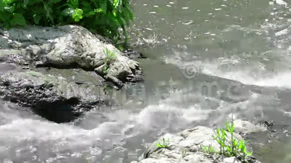 白天的山溪视频的预览图