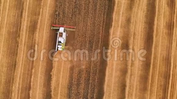 鸟瞰4k分辨率现代联合收割机收集成熟的小麦留下一片麦田里的尘埃视频的预览图
