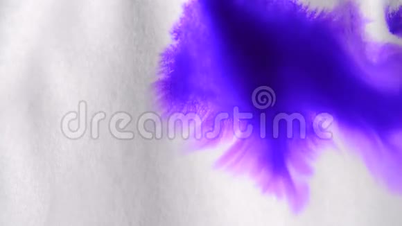 高清1080滴紫色墨水有机流动扩散和吸收视频的预览图