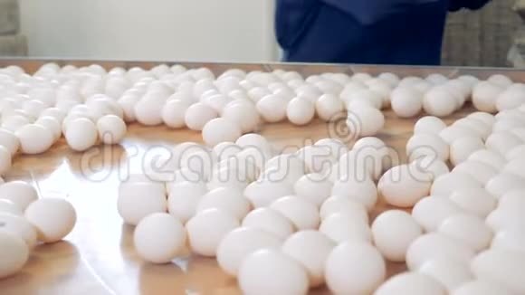 鸡场家禽工人在工厂输送机上分拣鸡蛋视频的预览图