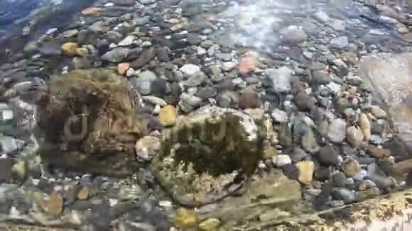 海水下的卵石背景视频的预览图