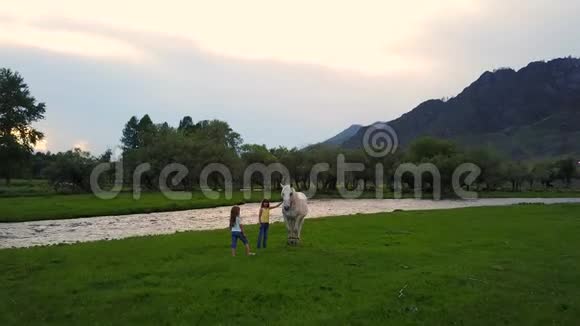 空中飞行山脚下的草地上的孩子们和野马玩两个小女孩姐妹视频的预览图
