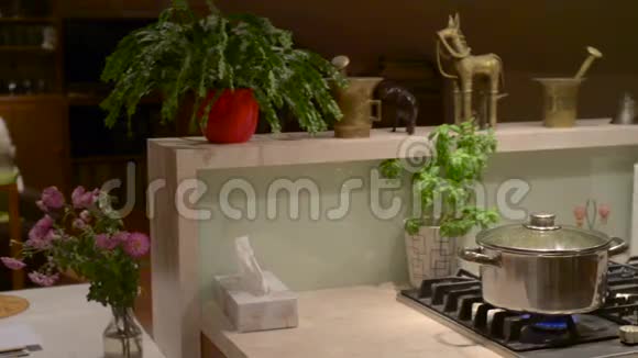 现代厨房内部有装饰雕像视频的预览图