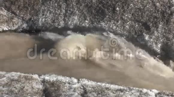 北极变暖导致的一溪脏水视频的预览图