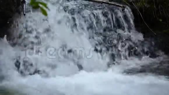 美丽宁静的小山溪瀑布郁郁葱葱的夏日森林视频的预览图