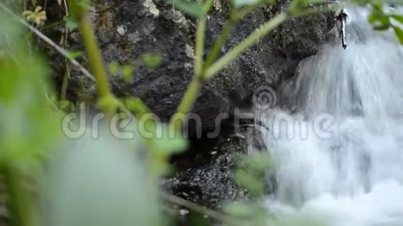 美丽宁静的小山溪瀑布郁郁葱葱的夏日森林视频的预览图