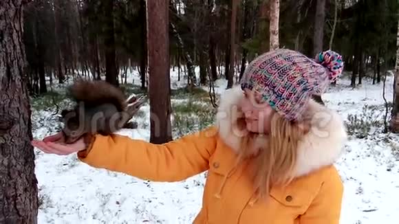 松鼠吃女人手里的坚果视频的预览图