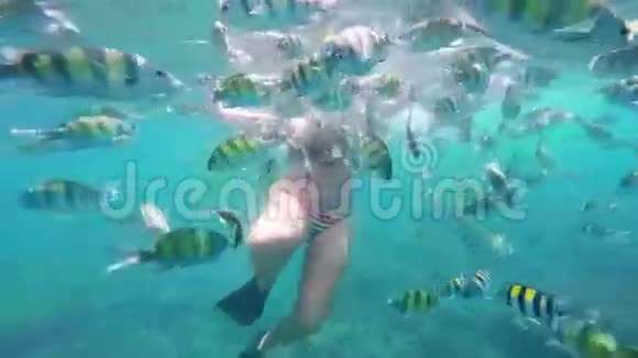 年轻迷人的白种人女人在水下喂鱼七彩鱼派视频的预览图