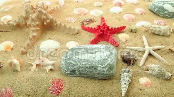 海星和沙子上的贝壳视频的预览图