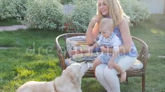 妈妈和儿子带着一只金毛猎犬在公园里视频的预览图