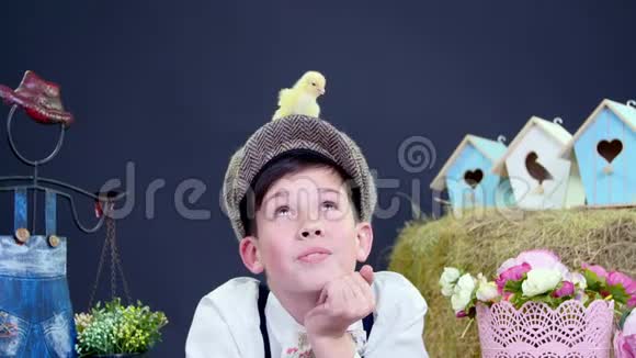 穿着时髦的男孩玩小鸭子和鸡背景下的干草堆彩色的鸟舍和视频的预览图