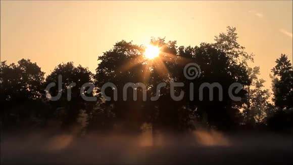 晨景带雾日出视频的预览图