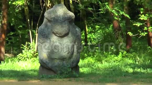 石像史基锡雕像在一片树林里视频的预览图