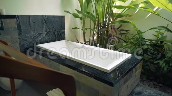 带叶植物的浴室浴缸黑白设计视频的预览图