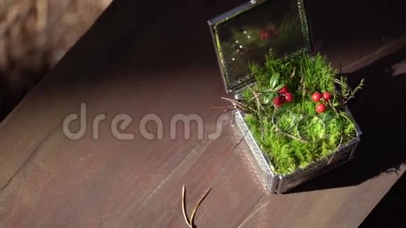 戴着苔藓的漂亮盒子里的结婚戒指视频的预览图