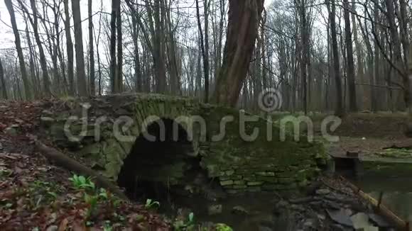 森林中的老石桥视频的预览图