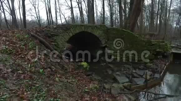 森林中的老石桥视频的预览图