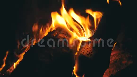 森林森林里燃起篝火视频的预览图