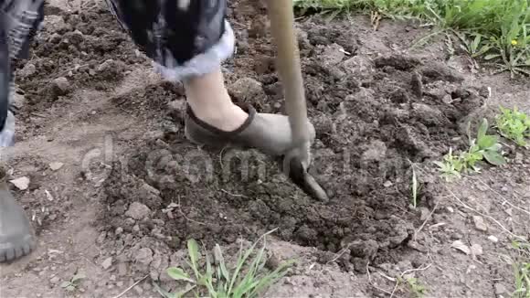 人耕种土地深挖铲铲视频的预览图
