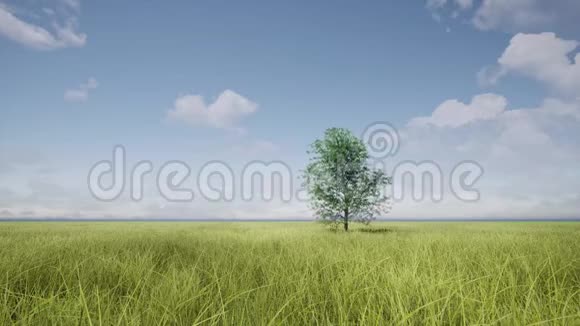 生长树商业发展节约能源空间背景抽象背景地球日的概念花园式植物视频的预览图