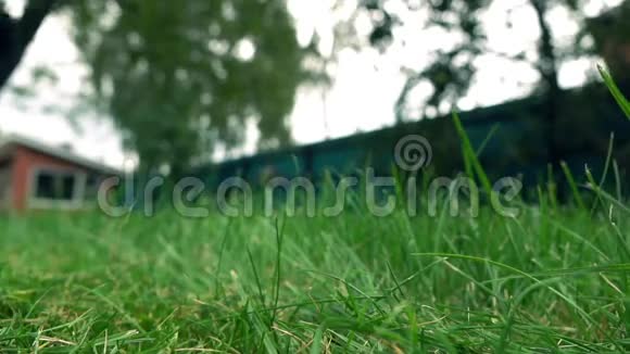绿草和带割草机的人低角度视野慢镜头视频的预览图