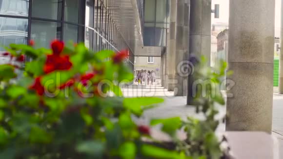 五个有魅力的商界女性在城里散步视频的预览图