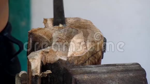 坚硬的木头雕刻成象的小象视频的预览图